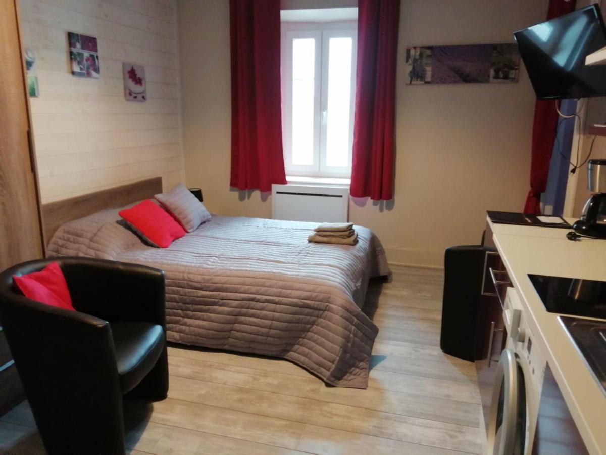 Joli Studio Dans Un Ancien Hotel Du XIX Siecle - Proche Toutes Commodites - Thermes Et Parc Vittel Exteriör bild